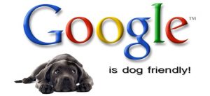 Google Ads CPA para Criadores