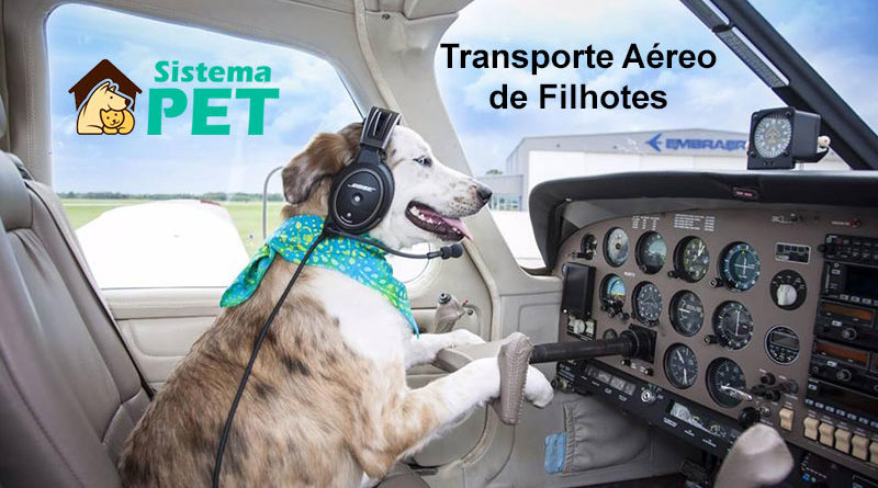 Transporte Aéreo de Filhotes