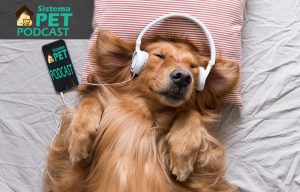 SistemaPet PodCast