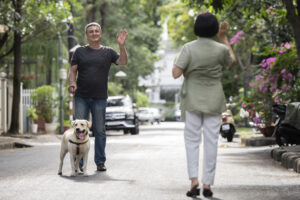 Animais nas áreas comuns dos condomínios, o que diz a lei?